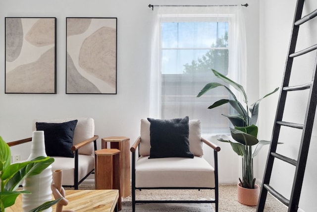 1409 Briarcliff Blvd, Austin, TX 78723 - view of living area