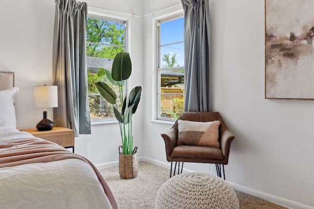 1409 Briarcliff Blvd, Austin, TX 78723 - bedroom featuring carpet flooring, baseboards, and multiple windows