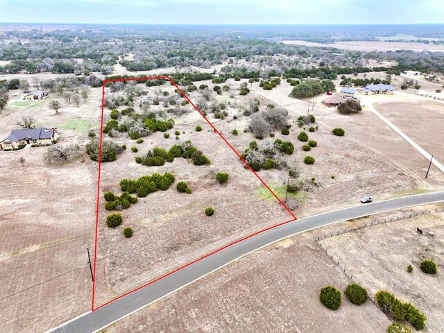 117 Stonehouse Dr, Liberty Hill, TX 78642 - photo 4