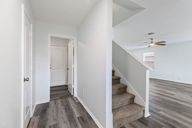 2306 Mccombs St, Georgetown, TX 78626 - photo 17
