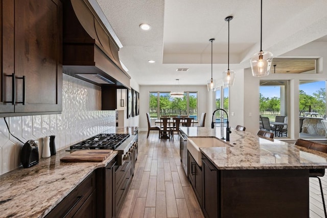 10900 Ranch Road 1323, Johnson City, TX 78636 - kitchen featuring a sink, premium range hood, healthy amount of natural light, a tray ceiling, and recessed lighting