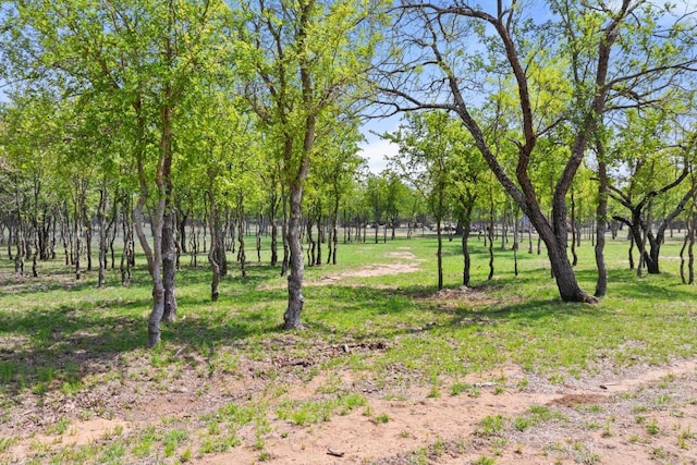 10900 Ranch Road 1323, Johnson City, TX 78636 - view of grassy yard featuring view of scattered trees