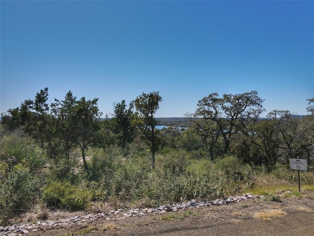 LOT71 War Bonnet Rdg, Kingsland, TX 78639 - photo 1