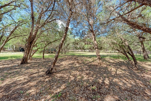 121 Quarry Park Cv, Liberty Hill, TX 78642 - photo 34
