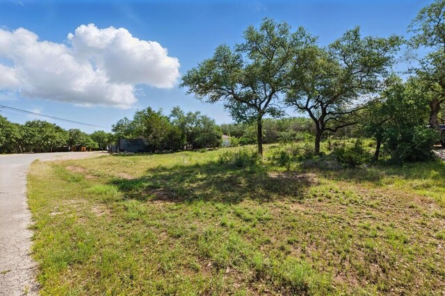 309 Cowal Dr S, Spicewood, TX 78669 - photo 2