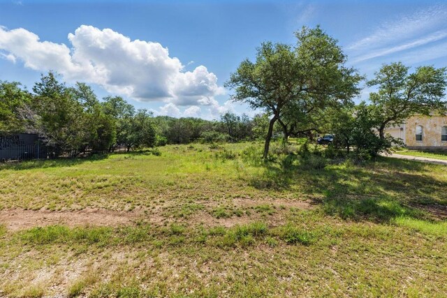 309 Cowal Dr S, Spicewood, TX 78669 - photo 3