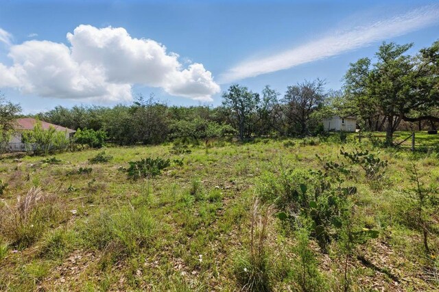 309 Cowal Dr S, Spicewood, TX 78669 - photo 6
