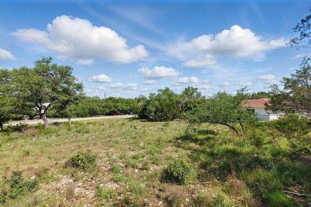 309 Cowal Dr S, Spicewood, TX 78669 - photo 7