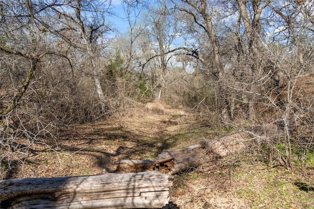 1540 N State Highway 95, Bastrop, TX 78602 - photo 7