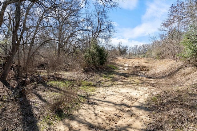 1540 N State Highway 95, Bastrop, TX 78602 - photo 8
