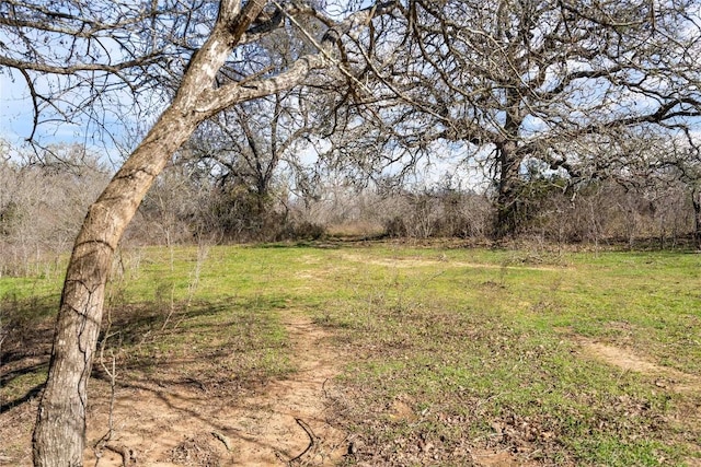 1540 N State Highway 95, Bastrop, TX 78602 - photo 10