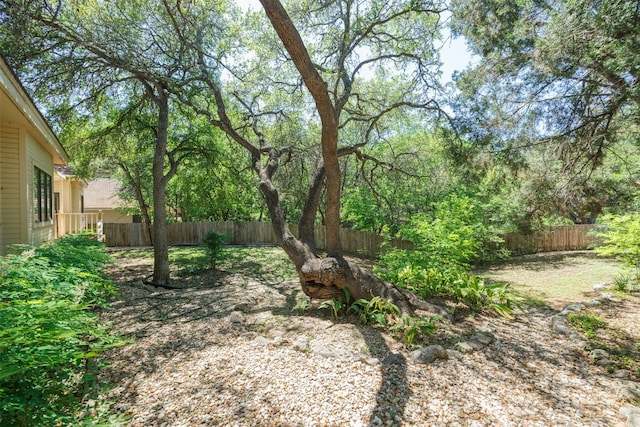10242 Pinehurst Dr, Austin, TX 78747 - view of fenced backyard