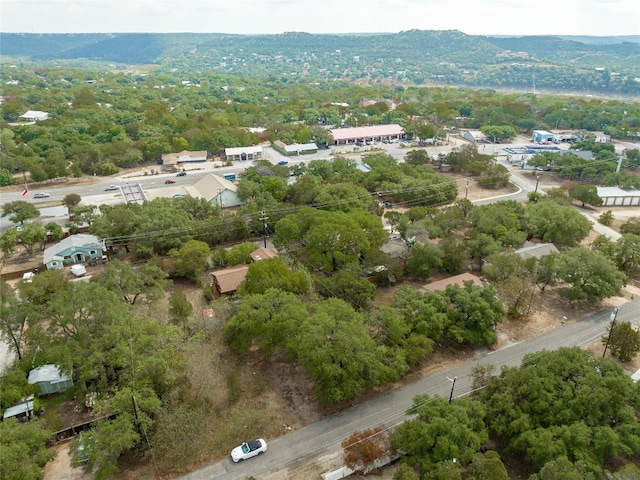 10601 W Lakeview Dr, Jonestown, TX 78645