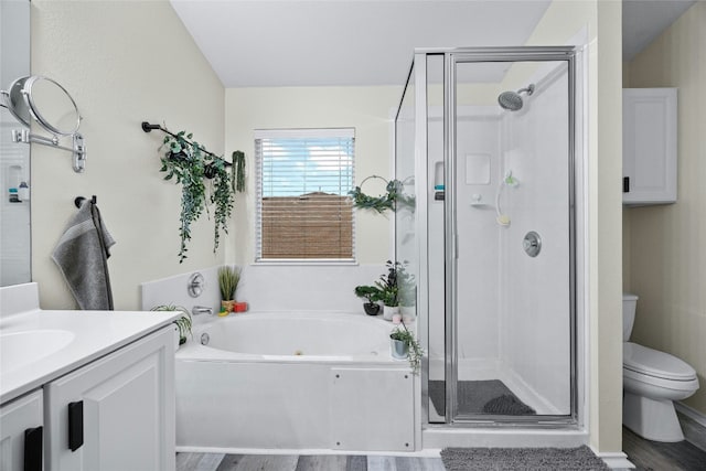 full bath featuring vanity, a shower stall, toilet, and a bath