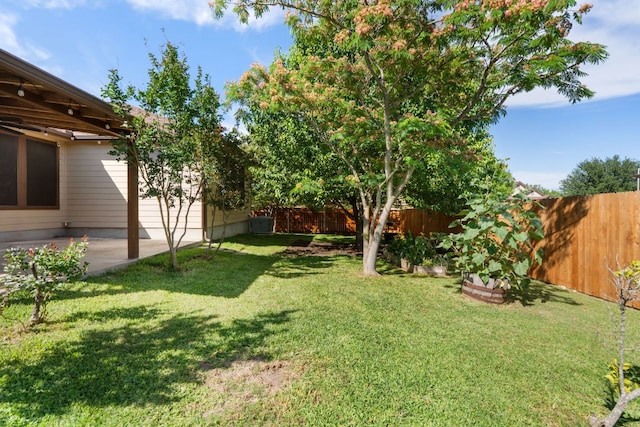 366 Matthews Ln, Kyle, TX 78640 - fenced backyard featuring a patio