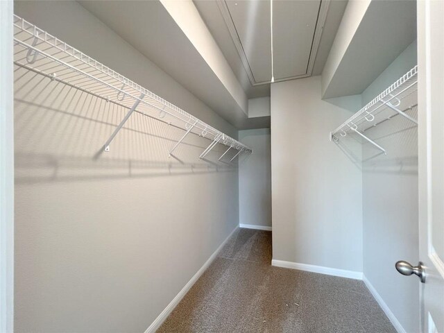 431 Ferrule Dr, Kyle, TX 78640 - spacious closet featuring attic access and carpet floors