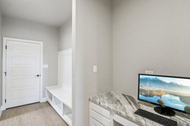 4007 Aerie St, Salado, TX 76571 - mudroom featuring light wood finished floors