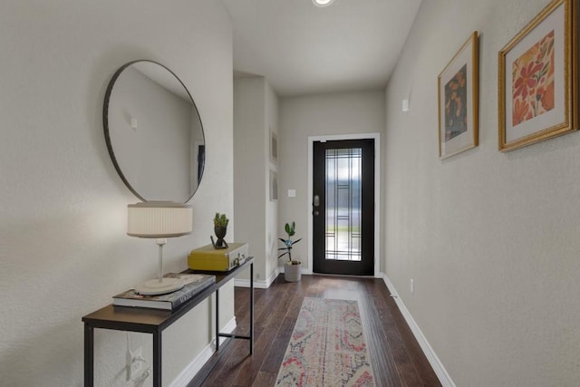 106 Mary Max Cv, San Marcos, TX 78666 - entryway featuring dark wood finished floors and baseboards