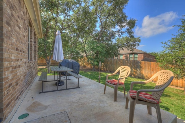 106 Mary Max Cv, San Marcos, TX 78666 - view of patio with a fenced backyard and grilling area