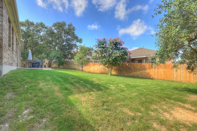 106 Mary Max Cv, San Marcos, TX 78666 - view of yard