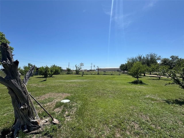 21424 Martin Ln, Pflugerville, TX 78660 - view of yard