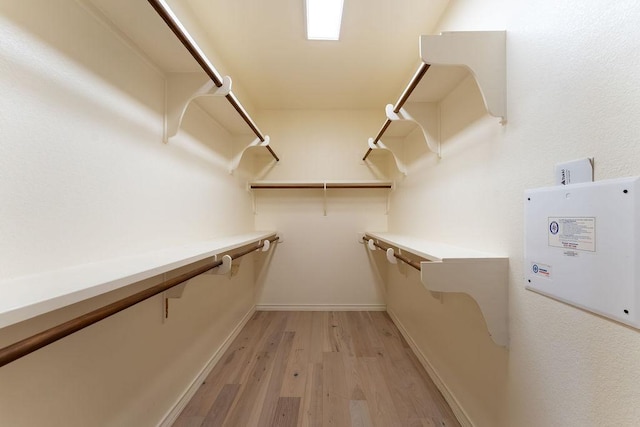 604 Riley Trl, Cedar Park, TX 78613 - walk in closet with light wood-type flooring