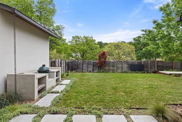 2500 Cedarview Dr, Austin, TX 78704 - view of fenced backyard