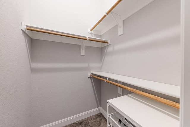 107 Orange Mimosa Ln, Leander, TX 78641 - walk in closet featuring carpet floors