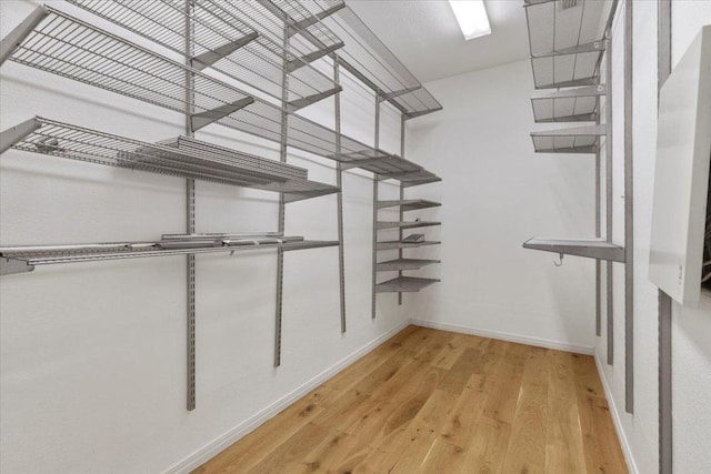 3313 Oxsheer Dr, Austin, TX 78732 - walk in closet with light wood-style flooring