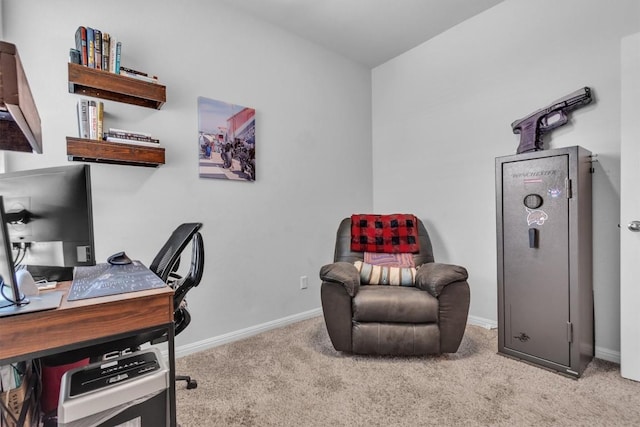 324 Mountain Valley St, Georgetown, TX 78628 - photo 22
