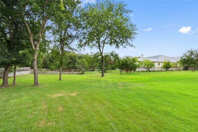 302 Bent Tree Ct, West Lake Hills, TX 78746 - view of yard