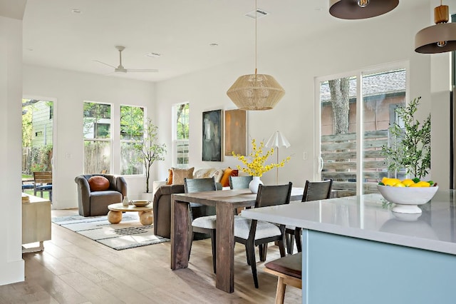 1406 Cometa St Unit 1, Austin, TX 78721 - dining room featuring light wood-style flooring and a ceiling fan