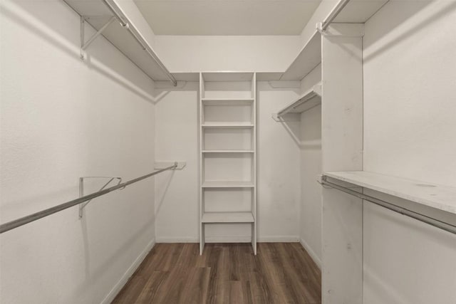 2821 Creek Side Dr, Temple, TX 76502 - walk in closet featuring dark wood-style flooring