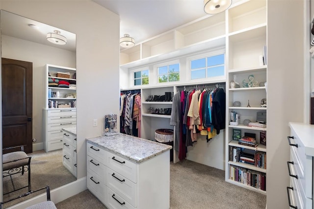 308 Duckhorn Pass, Austin, TX 78738 - walk in closet with light carpet