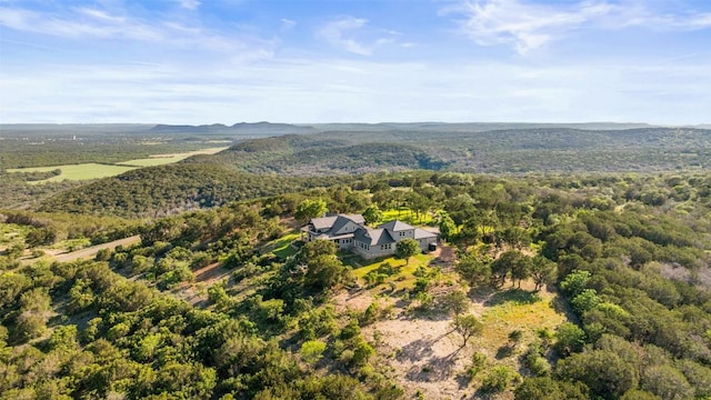 1071 Escalar Dr, Buchanan Dam, TX 78609 - view from above of property featuring a forest