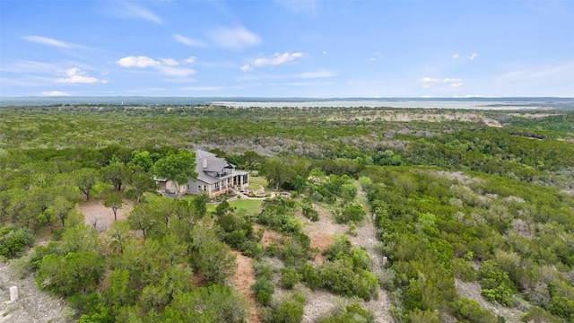 1071 Escalar Dr, Buchanan Dam, TX 78609 - aerial view of property and surrounding area featuring a forest