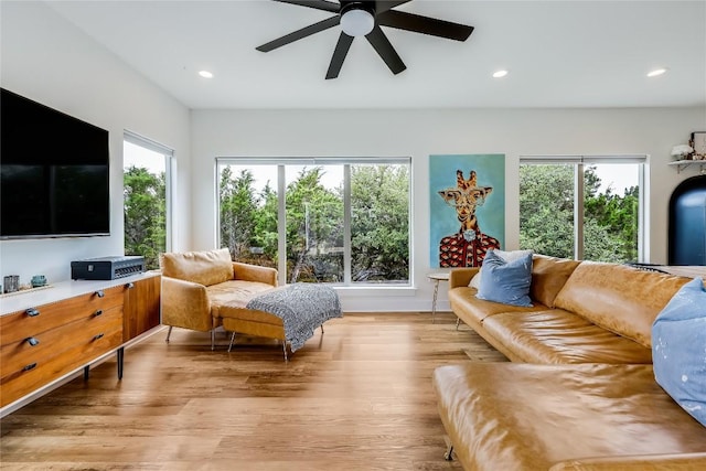 8603 Big Horn Cir, Lago Vista, TX 78645 - living area with ceiling fan, plenty of natural light, light wood finished floors, and recessed lighting