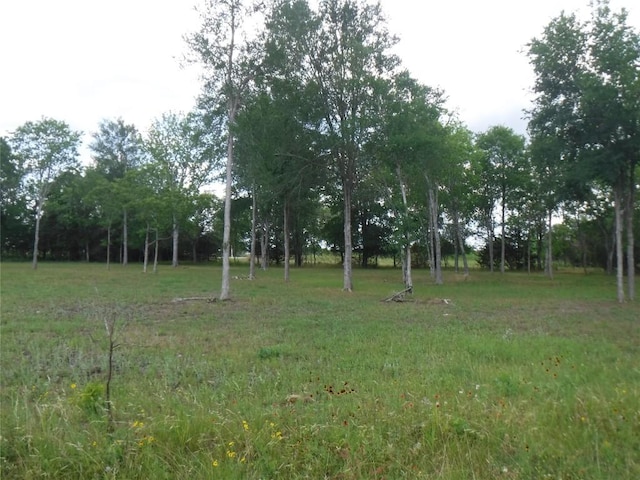 104 W Riverside Dr, Bastrop, TX 78602