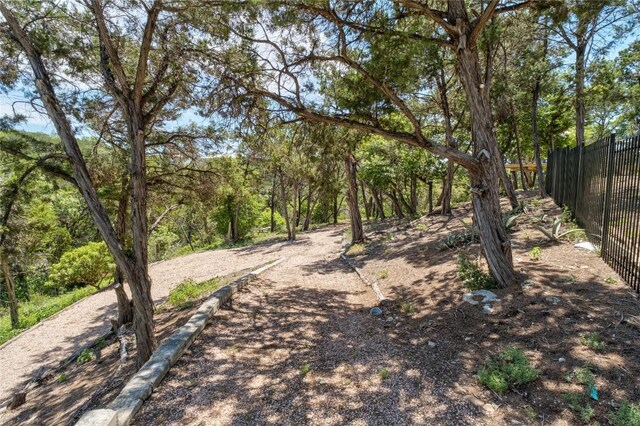 9201 Silver Pine Cv, Austin, TX 78733 - view of yard with fence