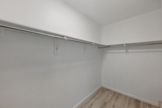 8805 Ravello Pass, Austin, TX 78749 - walk in closet with light wood-style flooring