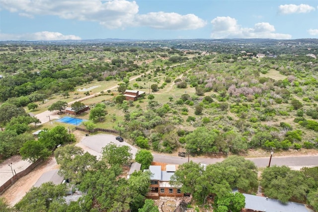 913 Lake Shore Dr, Spicewood, TX 78669 - bird's eye view