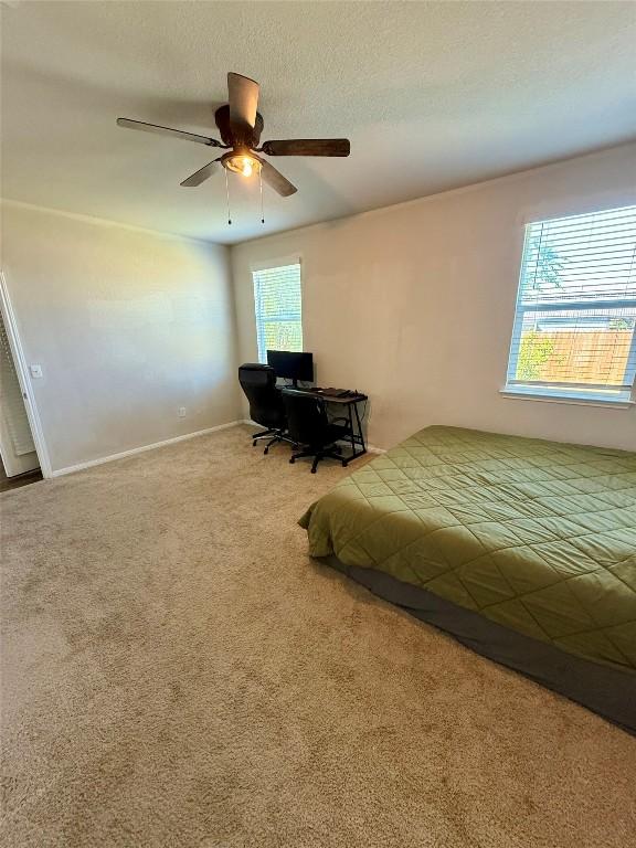 604 Dove Trl, Bertram, TX 78605 - photo 17