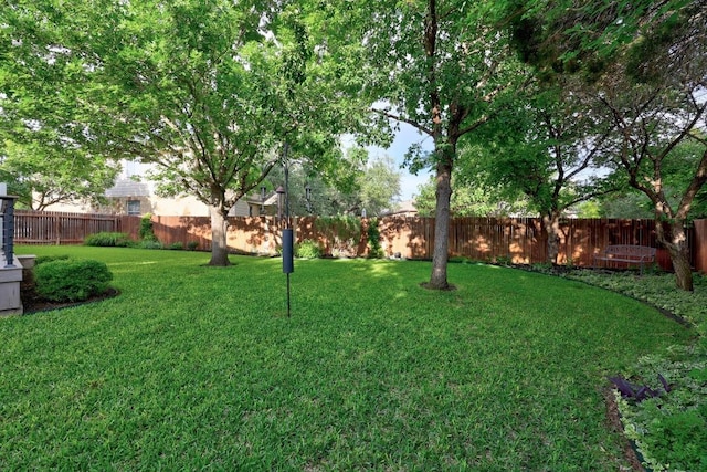 2518 Nightshade Dr, Cedar Park, TX 78613 - view of fenced backyard