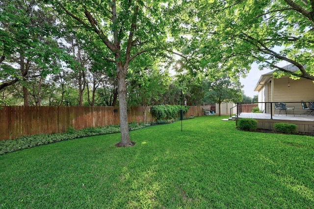 2518 Nightshade Dr, Cedar Park, TX 78613 - view of yard
