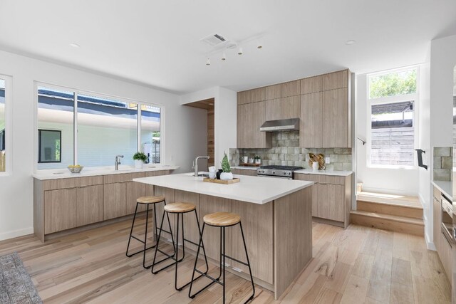 2903 Breeze Ter Unit 1, Austin, TX 78722 - kitchen with ventilation hood, modern cabinets, and stainless steel range