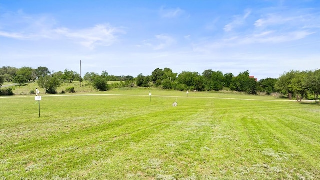 2124 Crabapple Rd, Blanco, TX 78606 - view of grassy yard