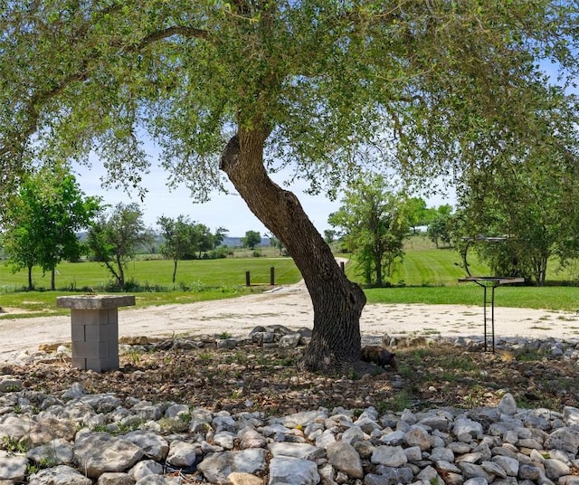 2124 Crabapple Rd, Blanco, TX 78606 - view of green lawn