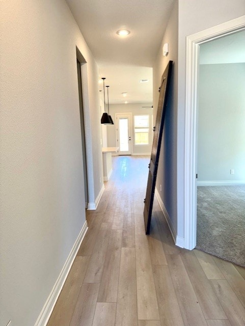 999 N Roger Hanks Pkwy, Dripping Springs, TX 78620 - hall featuring baseboards and light wood-style flooring