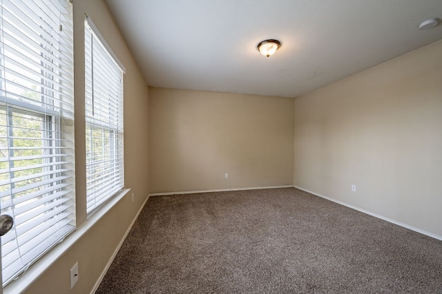 108 Briarwood Ct, Kyle, TX 78640 - photo 15