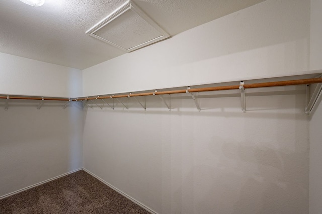 108 Briarwood Ct, Kyle, TX 78640 - photo 20